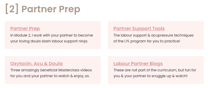Lyl partner prep module outline